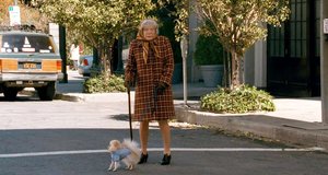 Спасение бабули с собакой – Супергеройское кино (2008)
